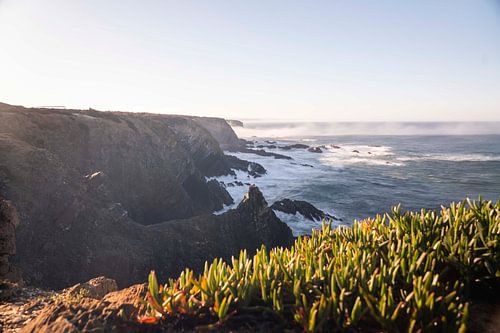 Ooievaar op Rots boven Atlantische Kliffen