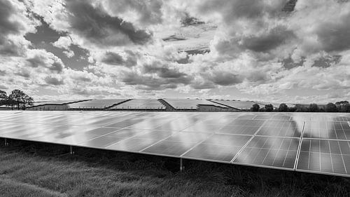 Zonnepark Bavelse Berg en zonnepark Dorst