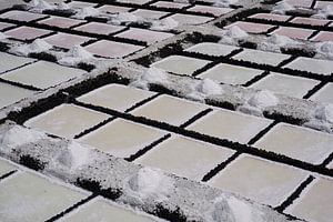 Structuur van de zoutvlakten op La Palma