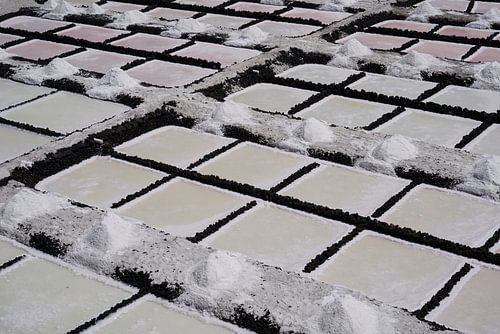 Structure of the salt flats on La Palma