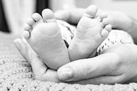 Pieds