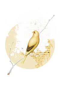 L'oiseau jaune sur Marja van den Hurk