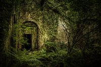 Castle Saunderson