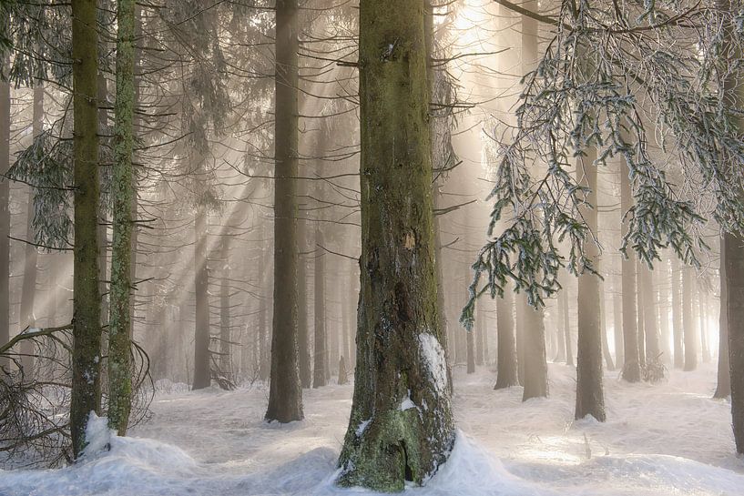 Sur la frontière ou d'une autre réalité par Lars van de Goor