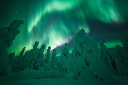 Versammlung der Weisen