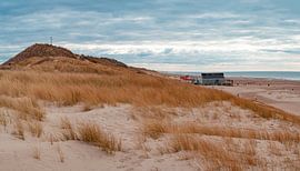 Dunes Schoorl by Mariusz Jandy