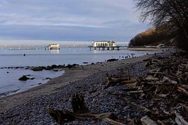 Sellin pier by Thomas Jäger