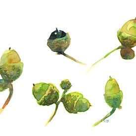 Fall treasures by Karen Kaspar