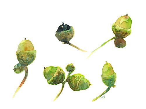 Herbstschätze von Karen Kaspar