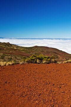 Red lava rock and fog in Teide National Park by Anja B. Schäfer