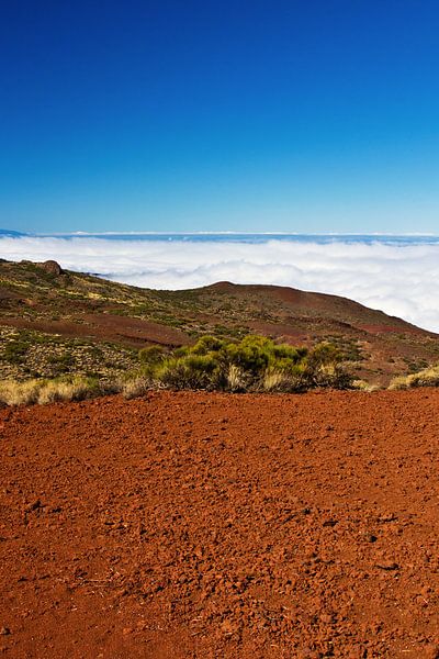 Roche de lave rouge et brouillard dans le parc national du Teide par Anja B. Schäfer