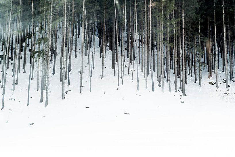 Winter Vibes by Hello Pompoyo