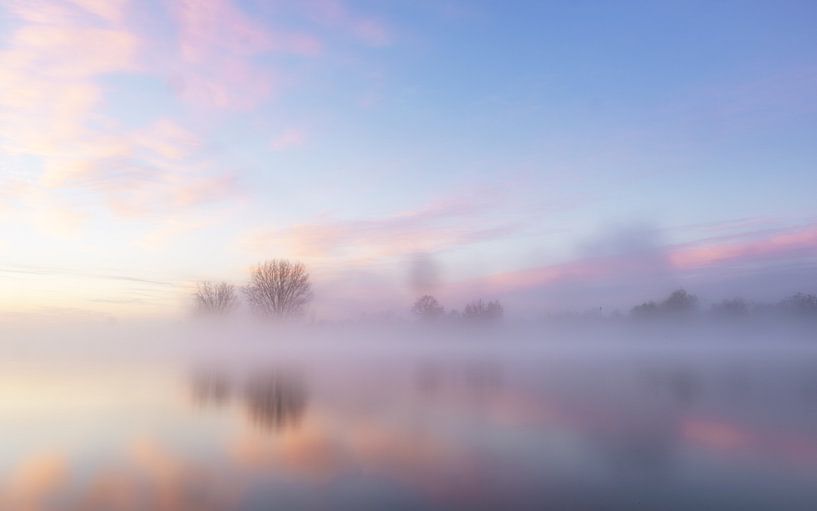 Morning glory by Lex Schulte