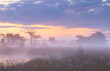 Lever de soleil Terhorsterzand (Drenthe- Pays-Bas) sur Marcel Kerdijk