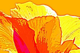 Une fleur de canna orange, technique mixte sur Werner Lehmann