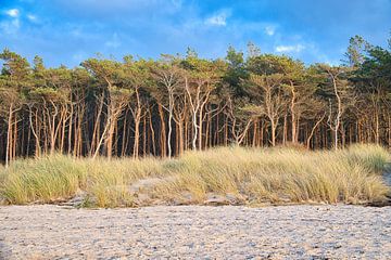 Op het Oostzeestrand met duinen van Martin Köbsch