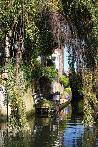 Vechtafslag Zwarte Water