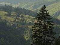 Mountain hut in the evening sun