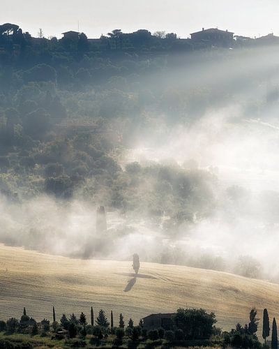 Sunbeams in misty Tuscany by Roy Poots