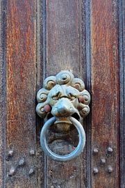 Voordeur met leeuwenkop. by Marian Klerx