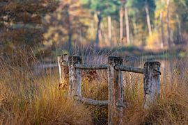 Romantisch brugje aan het Van Esschenven in Oisterwijk. van Els Oomis