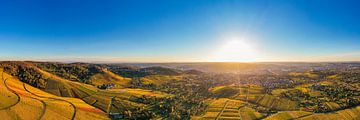 Panorama vanuit de lucht Wijngaarden in Stuttgart van Werner Dieterich