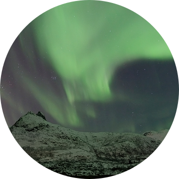 Noorderlicht, Aurora Borealis boven de Lofoten in Noorwegen van Sjoerd van der Wal Fotografie