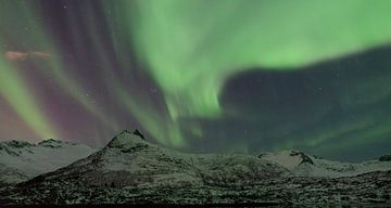 Nordlichter, Aurora Borealis über den Lofoten von Sjoerd van der Wal