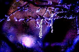 Concept frozen : Frozen van Photoart-Naegele