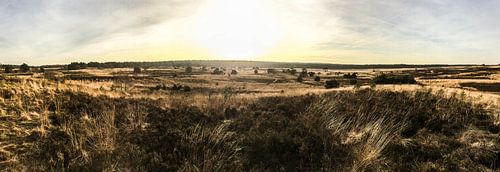 Rozendaalse veld, Rozendaal van Peter