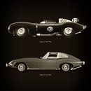 Jaguar D Type 1956 en Jaguar E Type 1960 van Jan Keteleer thumbnail