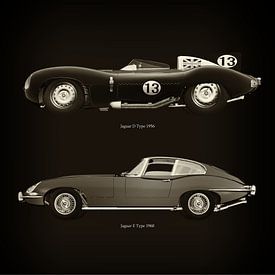 Jaguar D Type 1956 and Jaguar E Type 1960 by Jan Keteleer