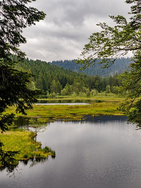 Bergsee in den Vogesen - Lac de Lispach von Martijn Joosse