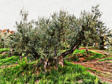 Portret van een olijfboom van Dorothy Berry-Lound