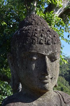 Portret jungle Boeddha van Bianca ter Riet