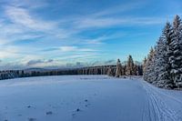 Eerste winterwandeling op de Rennsteig