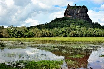 Die Ruinen von Sigiriya Gespiegelt im Teich
