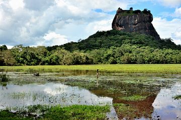 De ruïnes van Sigiriya weerspiegeld in de vijver van Frank Photos