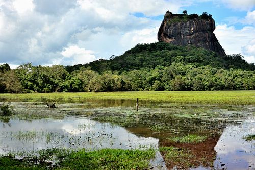 De ruïnes van Sigiriya weerspiegeld in de vijver
