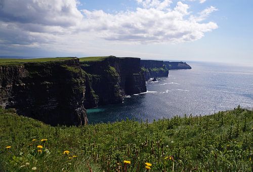 Cliff's of Moher - Ierland