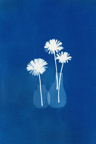 Cyanotype - marguerites dans un vase