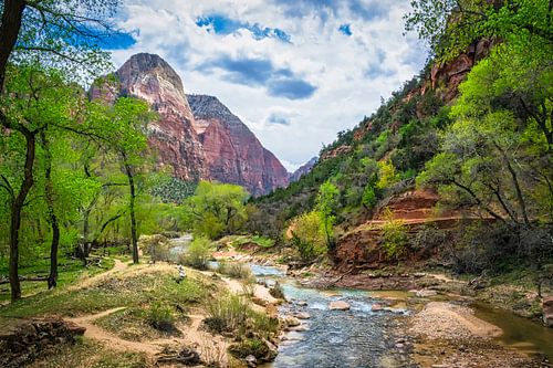 Virgin rivier in Zion National Park, Amerika van Rietje Bulthuis