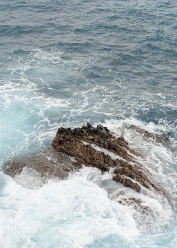 Golven en rots in de oceaan van LyanneArt
