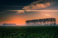 Sunrise Noordoostpolder