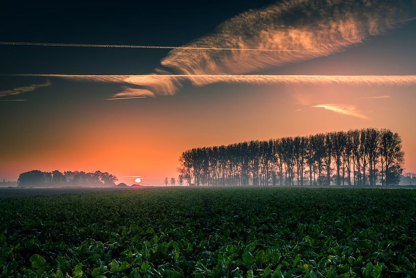Sunrise Noordoostpolder by Martien Hoogebeen Fotografie