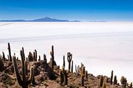 Île Cactus par Ronne Vinkx Aperçu