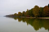 Herfst Kleurrijke bomen aan de oever van de Ammersee in Beieren in nevelig grijs weer