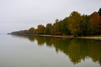 Herbst Bunte Bäume am Ufer des Ammersees in Bayern bei neblig grauem Wetter