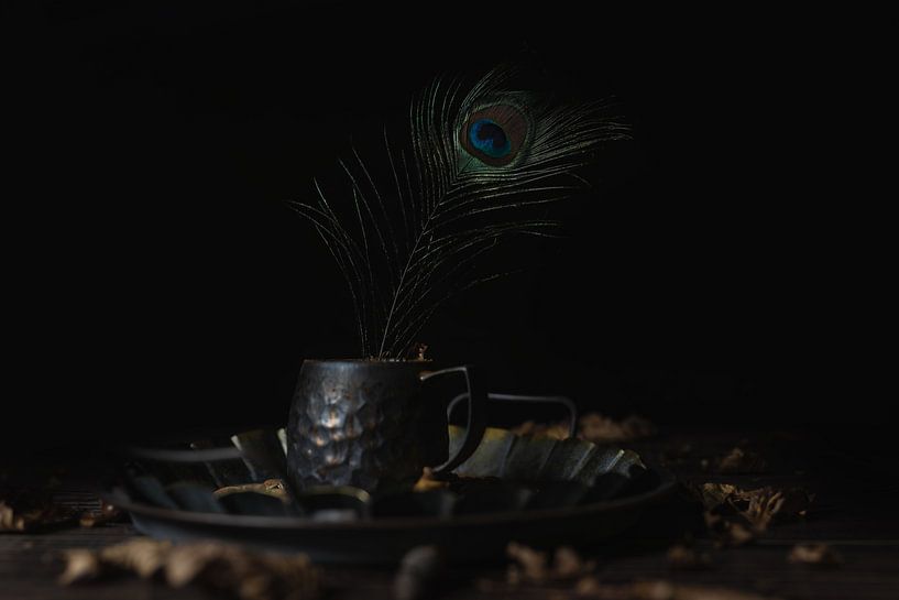 Nature morte sombre avec une plume de paon par Steven Dijkshoorn