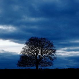 Eder Heide en bleu sur Wim Baan